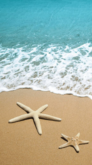 Stunning Summer Wallpaper For iPhone Endless Vibes