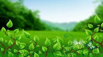 Monitor HD Nature Wallpaper Organic Life Freshness Love Nice