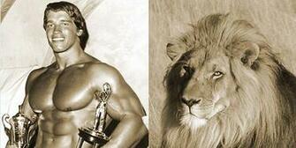 Arnold Schwarzenegger Is Not Happy About Cecil The Lion Elite Fts