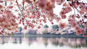 Spring What To Know About This Season S Equinox Dates For