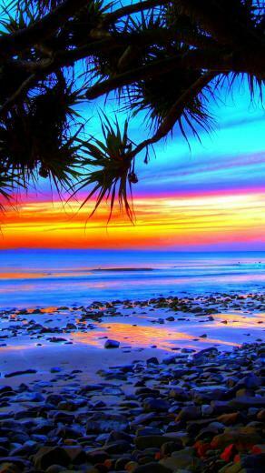 Home Beach Tropical Sunset And Tree iPhone Wallpaper