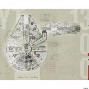 Star Wars Millennium Falcon Prepasted Wallpaper Mural Oriental