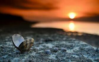 Md Ferdous Ahmed On HD Laptop Wallpaper Sunset