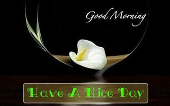 Good Morning Status Hindi Night Sms Wishes