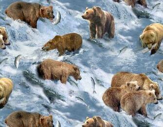 Bear River Salmon Fish It Wallpaper