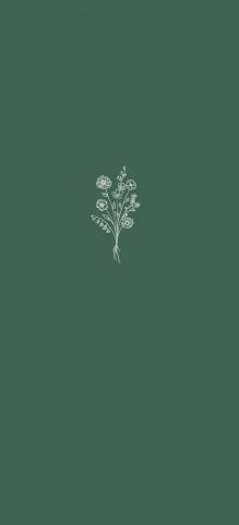 Green iPhone Minimalist Wallpaper Phone