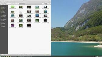 Wallpaper Linux Mint Background Setting Not Doing Anything Unix