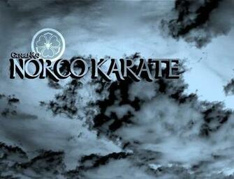 Norco Karate Wallpaper By Punkvmpr