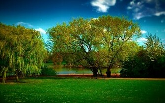 Wallpaper 3d HD Nature For Desktop