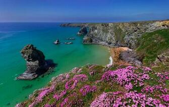 Wallpaper Sea Flowers Rocks Coast England Cornwall