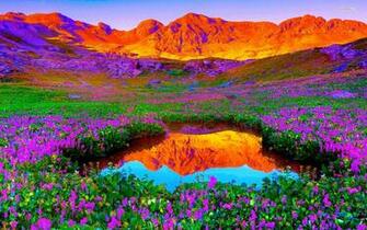 Red Mountains Lilac Flowers Wallpaper