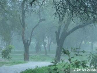 Rainy Day