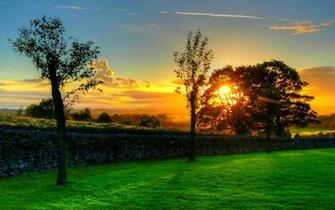 Beautiful Summer Background