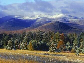 Burn Spear No Such Thing As Too Much Adirondack Ging