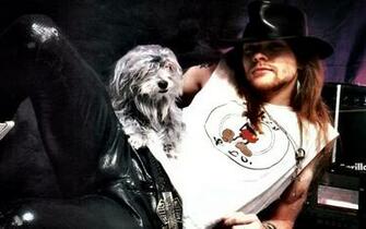 Guns And Roses Pasate D