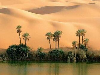 Sahara Wallpaper HD Pulse