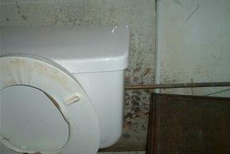 Black Mold In The Bathroom Guide Everything You