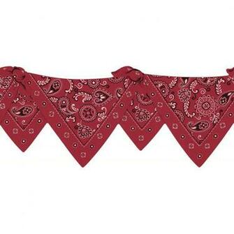 Red Bandana Border