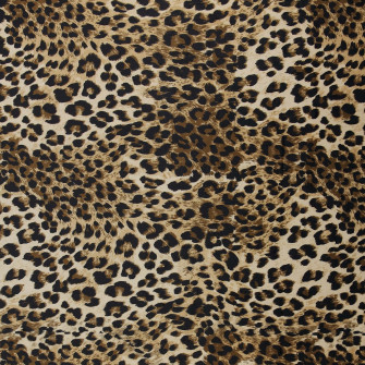 Fuzzy And Fabulous Wallpaper