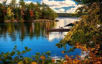 Wallpaper Autumn Trees Branches Lake Island Marina New York