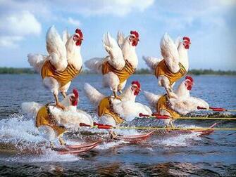 Water Ski Wallpaper