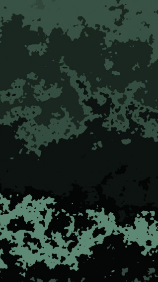 Green Camouflage Wallpaper