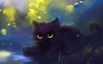 Cat Wallpaper Cartoon Eyes Black HD