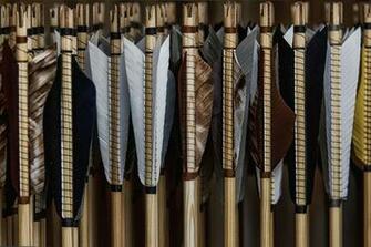 Image Wooden Arrow Feathers Closeup