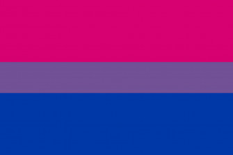 Bi Pride Flag Wallpaper