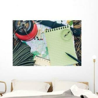 Amazon Wallmonkeys Small Survival Kit Wall Mural Peel And