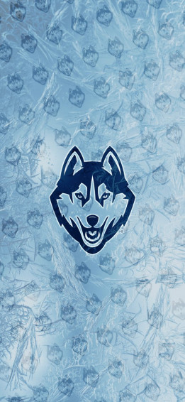 Uconn Huskies On These Wintery Wallpaper As