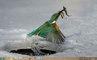 Best Of Bing Windows Theme