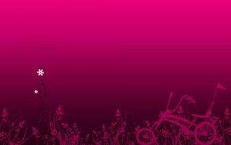 Fuchsia Wallpaper And Background Image Net
