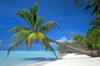 Read More Cool Ocean Wallpaper Part