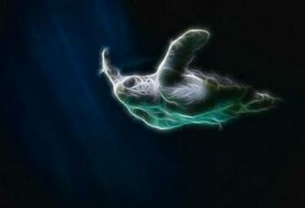 Sea Turtle Animated Wallpaper Desktopanimated