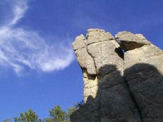 Custer State Park In The Black Hills Of South Dakota Photos