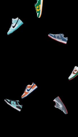 Years Of Nike Sb Dunk