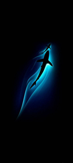 Vivo Y20 Wallpaper