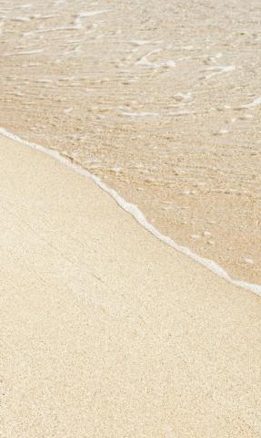 Beige Aesthetic Pictures Image