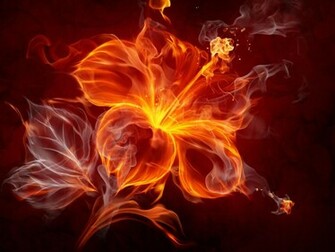 Fire Flower Wallpaper Pictures For Desktop
