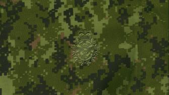 Camouflage Cadpat Wallpaper