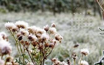 March Desktop Background Ready For You A Lot Going On