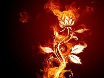 Cool Flower Wallpaper Fond D Cran