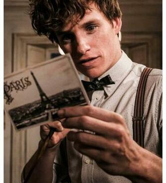 Wb Just Dropped Stills Of Fantastic Beasts The Crimes