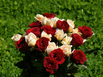 Flowers Wallpaper