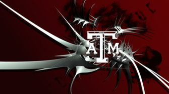 Tamu Wallpaper Background For Desktops