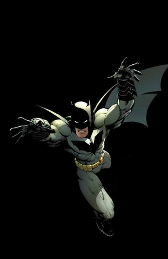 New Batman By Bobhertley