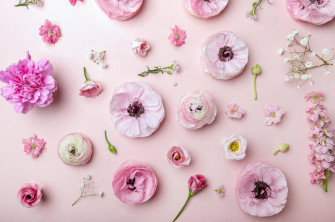 Aesthetic Spring Wallpaper