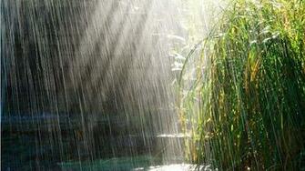 Desktop Cool Wallpaper Rain Originals Spring