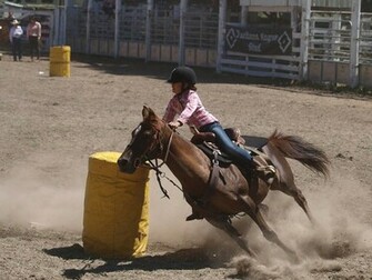 Barrel Racing Wallpaper